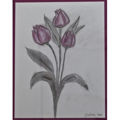 9c_marieke